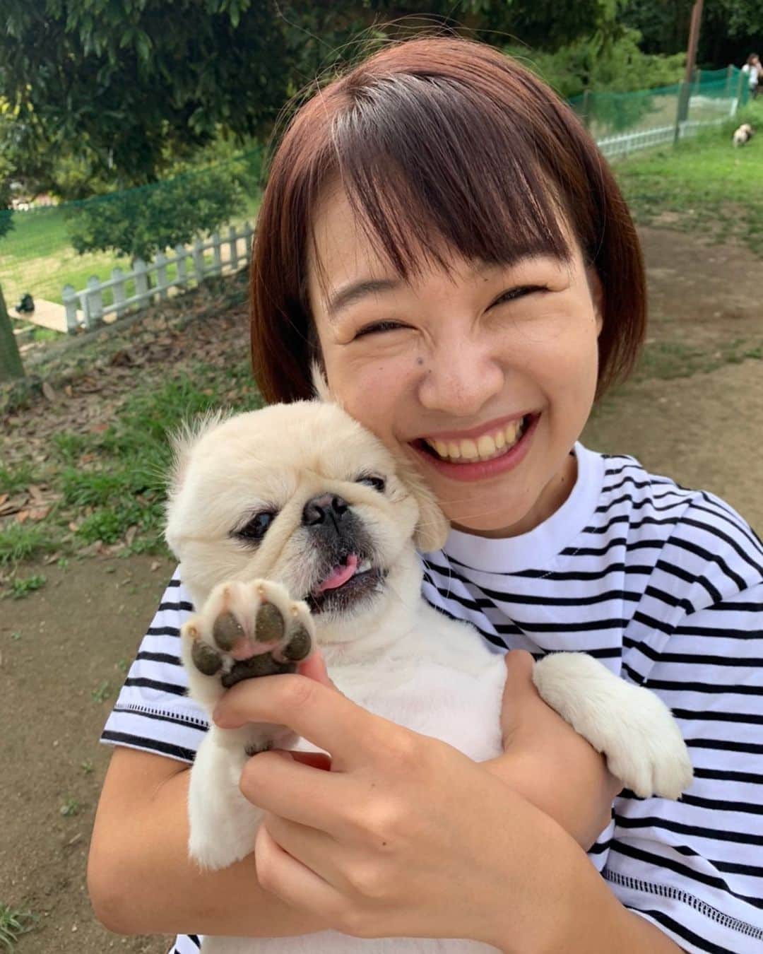 有田優理香のインスタグラム：「ぺいちゃんまたテレビにでます🐾笑  あすのキニナルは、「ペットと新型コロナ」🐶🐱ペットを飼っている人はどのように新型コロナ対策をしたら良いのか、そもそもペットなどの動物は新型コロナに感染するのか。取材し、まとめます！  実際に動物病院や保健所などには、飼い主から不安の声や相談が多数寄せられているようです。私自身キニナルことだったので、今回の取材で大変勉強になりました！  家族同然のペットを守るために！あす18:15〜のテレビ派をぜひご覧ください🙏  #広島テレビ　#テレビ派　#キニナル　#pekinese #ペキニーズ　#犬界の藤原竜也　#ドッグラン行きたいね #ここ最近で一番の笑顔」