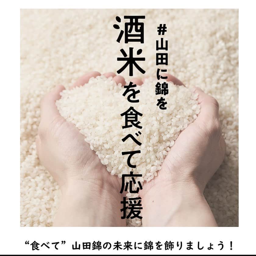 オイシックスさんのインスタグラム写真 - (オイシックスInstagram)「新型コロナの影響で、日本酒の原料である山田錦の需要量が減り過剰在庫を抱えています。  山田錦の余剰米を救うため、お家で美味しく食べられる酒米リゾットを作りました！ oisix.com/sc/sakamai  全国の山田さん、友達に山田さんがいらっしゃる方、みんなで山田錦の明るい未来に錦を飾りましょう！ 応援よろしくお願い致します🙇‍♀️  #山田に錦を #oisix」12月10日 13時15分 - oisix