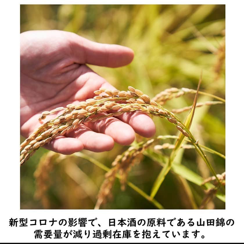 オイシックスさんのインスタグラム写真 - (オイシックスInstagram)「新型コロナの影響で、日本酒の原料である山田錦の需要量が減り過剰在庫を抱えています。  山田錦の余剰米を救うため、お家で美味しく食べられる酒米リゾットを作りました！ oisix.com/sc/sakamai  全国の山田さん、友達に山田さんがいらっしゃる方、みんなで山田錦の明るい未来に錦を飾りましょう！ 応援よろしくお願い致します🙇‍♀️  #山田に錦を #oisix」12月10日 13時15分 - oisix
