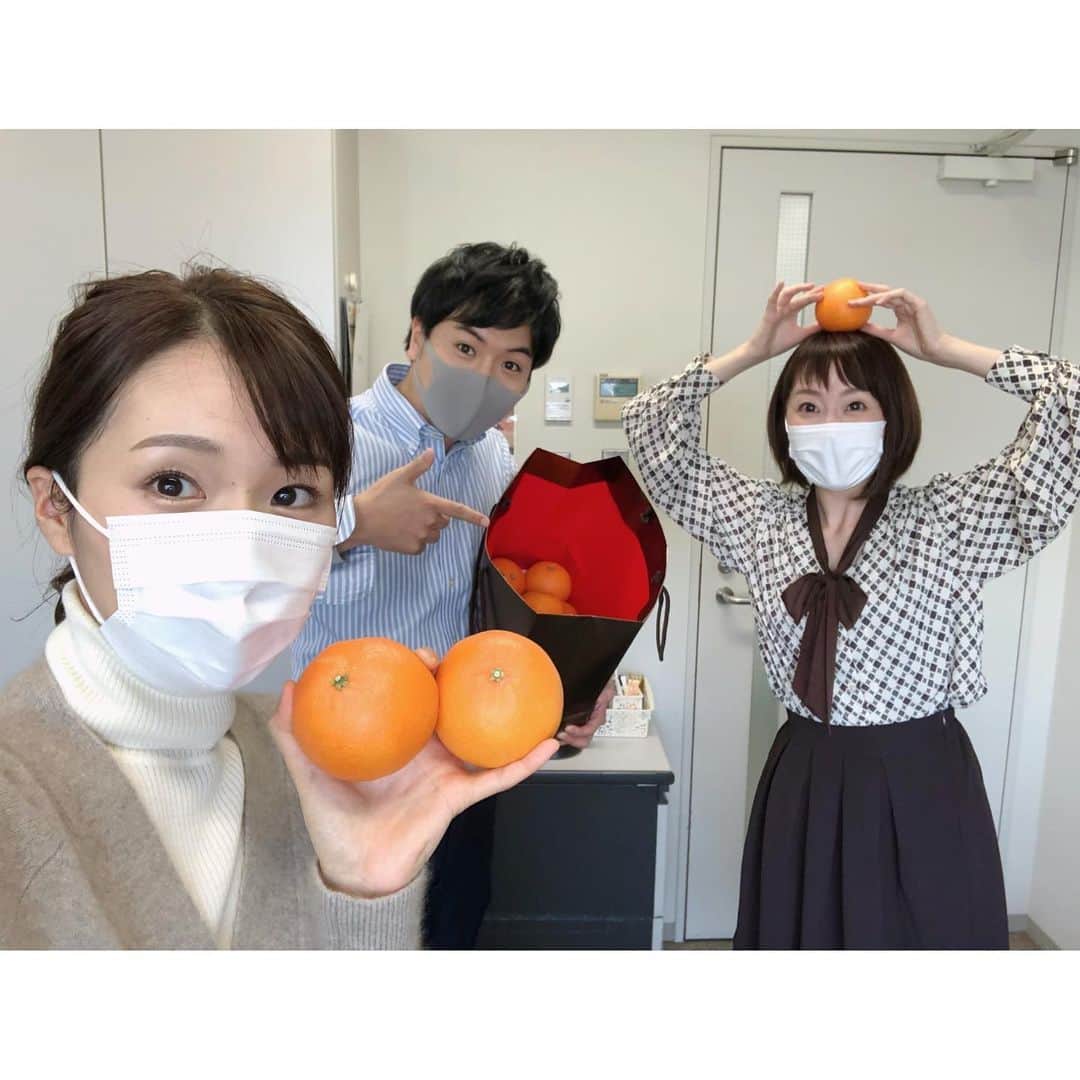 のインスタグラム：「愛媛出身のてるてるから今年もいただいちゃいました！  紅まどんな🥰🥰  とっても甘〜い果汁がたっぷりで、上品な甘みが口いっぱいに広がる幸せ… こんな柑橘もあるのか！さすが愛媛、おそるべし！ 初めて食べたときは驚きました😳  ばたちゃんも喜んでいます🥰  #てるてること #前田輝 #アナウンサー #ばたちゃんこと #柴田美奈 #アナウンサー #東海テレビ #恒川英里 #愛媛 #紅まどんな」