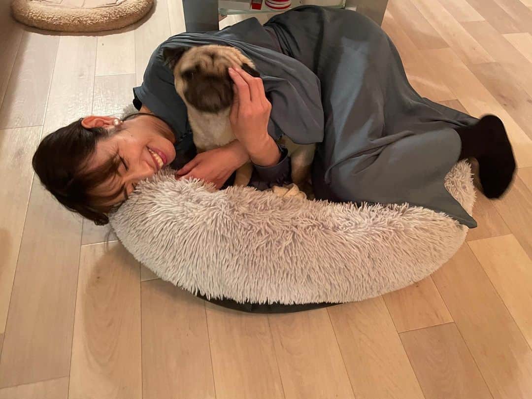 佐藤千晶のインスタグラム：「パグのむぎちゃん… めんこかったなあ…☺️  #先月の写真 #素敵夫婦のお宅にて #パグ #犬のいる暮らし  #いいなあ…✨」