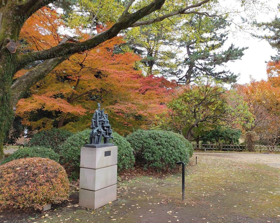 東京都庭園美術館さんのインスタグラム写真 - (東京都庭園美術館Instagram)「【開催中｜生命の庭展】 庭園の紅葉が見頃を迎えています。今年は暖かい日が多く、例年より1週間ほど遅れて色づき始めました。しばらくこの美しい風景がお楽しみいただけます。ご来場の折には暖かくしてお越しくださいね。  #東京都庭園美術館 #東京 #旧朝香宮邸 #庭園 #tokyometropolitanteienartmuseum #teienartmuseum #tokyo #garden  #TokyoTokyoFESTIVAL」12月10日 14時04分 - teienartmuseum