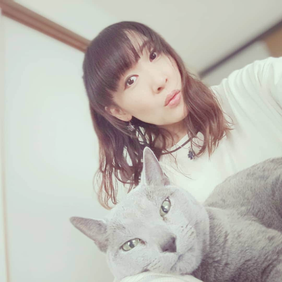 atsukoさんのインスタグラム写真 - (atsukoInstagram)「乗っかってくる系🐱 #ねこ」12月10日 14時52分 - angela_atsuko