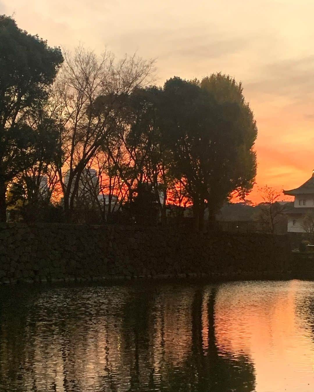 風間ゆみえさんのインスタグラム写真 - (風間ゆみえInstagram)「真っ赤な夕陽は胸を熱くするね  こんなティザンヌ作りたいなぁ… 夕暮れのティザンヌ🤫  #フィトテラピー #植物療法 #マインドフルネス #自然の美しさ  #環境について考える」12月11日 0時51分 - yumie_kazama