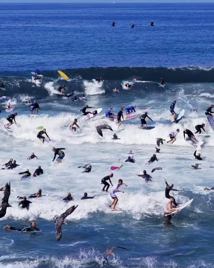 オールバーブラウンのインスタグラム：「Tap to shop our 'Surfers, Laguna Beach' Bulldog swim shorts, part of our new collaboration with the brilliant photographer @PelleCass. This lively image is a digital time-lapse of many, many surfers riding the waves at Laguna Beach, California. How many 🏄‍♂️ can you count? 💬 #DoseOfSun #OrlebarBrown #OBsAroundTheWorld」