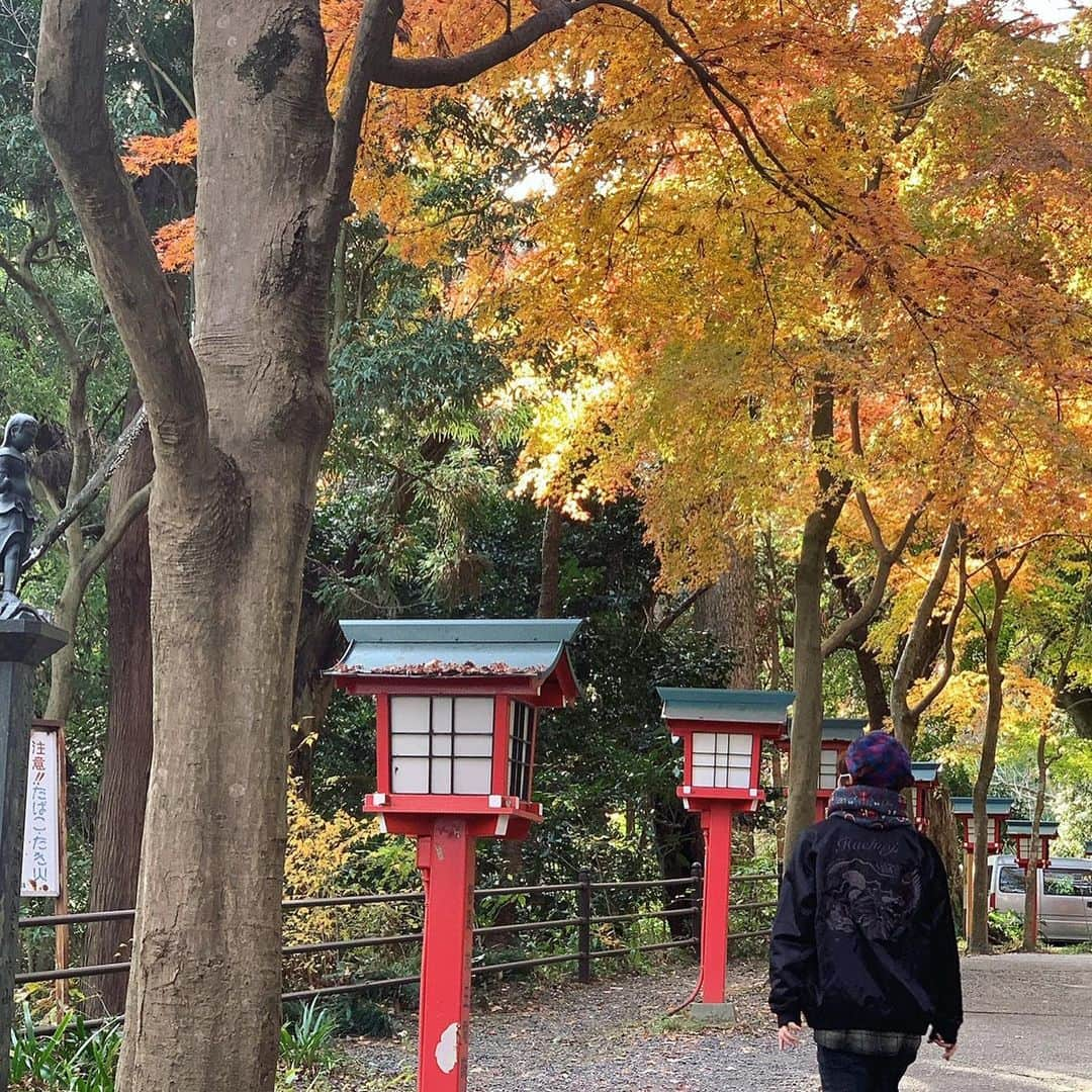 金廣真悟さんのインスタグラム写真 - (金廣真悟Instagram)「. @little0507 リトルさんからゲットした八王子スカジャンを羽織って髙尾山 @takaosan_yakuoin まで登ってきました。 今年は台風の影響も少なかったからなのか、凄く綺麗で、観に行けて本当に良かった。  次のライブは配信。 @masafumiisobe HUSKING BEEイッソンさんとGOOD PLACEさんの合同企画 ｢Gear｣  2020/12/17（木）20時〜22時 東京、大阪、福岡の4会場それぞれの場所での弾き語りのライブをマルチストリーミング。  嬉しいメンツの中やらせてもらいます。  チケット等の詳細はこちら↓ good-place.live/pages/gear  チケット¥2000」12月10日 16時52分 - shingo_kanehiro