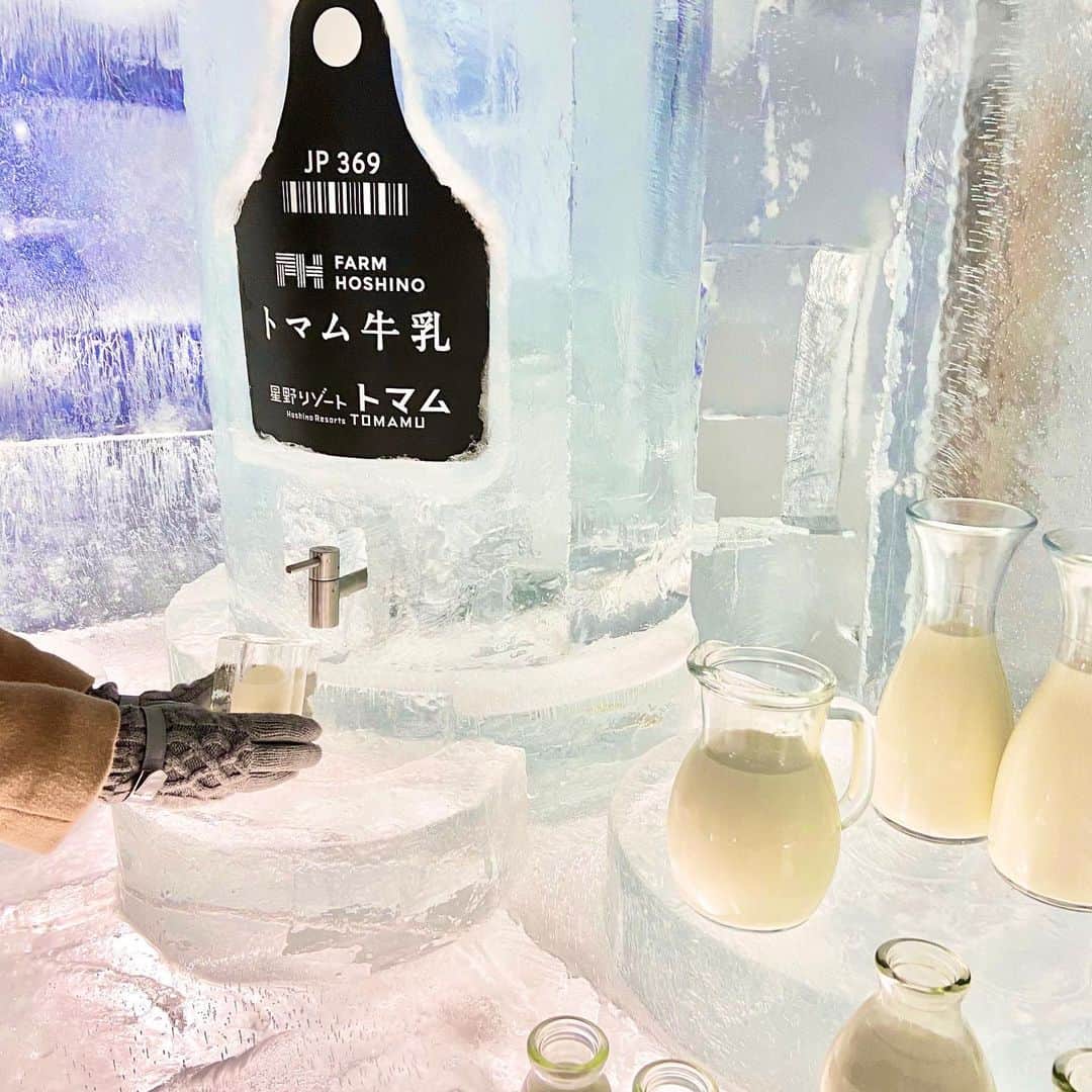 星野リゾート　トマムのインスタグラム：「Today’s Hoshino Resorts TOMAMU  本日、氷の街「アイスヴィレッジ」がオープンしました。 「氷のMilk Cafe」では、氷でできた高さ1メートル、横幅50センチメートルの「氷のミルク瓶」が登場。冬に特に濃厚な味わいになるトマム牛乳を存分に楽しめます。  #HoshinoResorts #星野リゾート #tomamu #hoshinoresortstomamu #星野リゾートトマム #トマム #risonaretomamu #リゾナーレトマム #risonare #リゾナーレ #北海道旅行 #星野集團 #Hokkaidotrip #アイスヴィレッジ #icevillage」