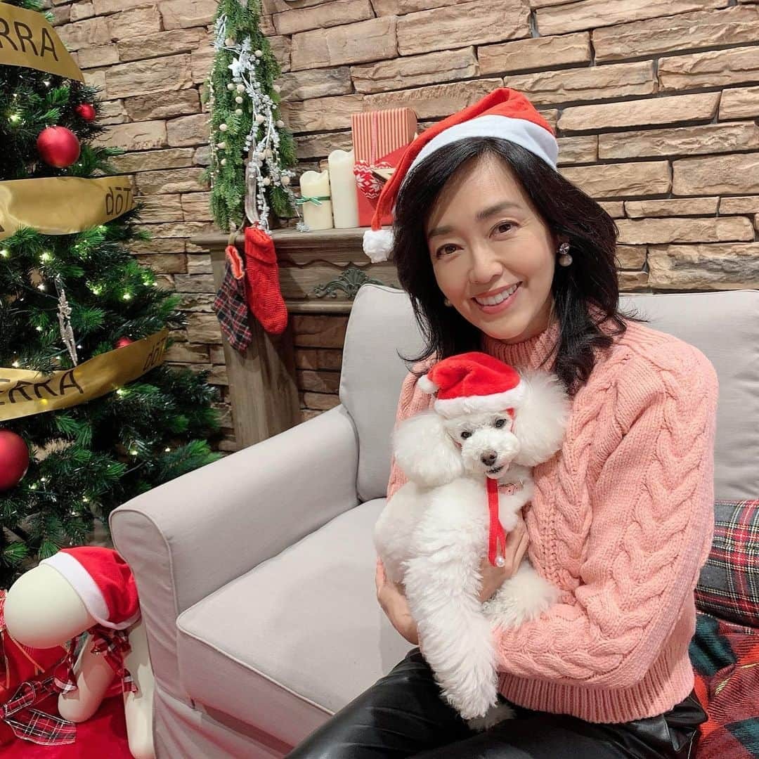 早見優さんのインスタグラム写真 - (早見優Instagram)「Tomorrow is our Christmas jazz concert🌲 明日はクリスマスジャズコンサートです♪  １２月１１日　夜８時から。 見逃しら、アーカイブでも見ることができます👀  チケットは、こちら💁‍♀️  https://www.mahocast.com/keepsmiling/live/5818  #christmasshow #jazz #live #ライブ #クリスマスライブ #タイム5 #松本伊代　さん #チャーリーオカムラ　さん #doterrajapan」12月10日 17時10分 - yuyuhayami