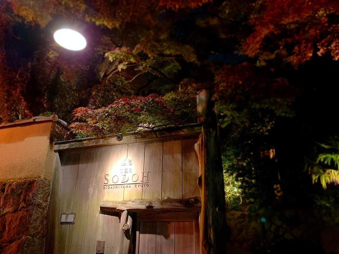 百合華さんのインスタグラム写真 - (百合華Instagram)「京都高台寺にあるイタリアン『THE SODOH HIGASHIYAMA KYOTO』にて紅葉ディナータイム🍽💕  お気に入りな窓際のお席でお庭やライトアップされた八坂の塔を眺めながらゆったりとディナーコースを頂きました🥂✨  旬の高級食材をふんだんに使用した美味しいお料理やとっても素敵な風景に魅了されてきゅん💖  お席からの素敵な眺望は次回UP致します💋  #japan #日本 #kyoto #京都 #高台寺 #thesoudouhigashiyama  #ザソウドウ東山京都  #wedding  #ウエディング #結婚式場 #イタリアン #dinner #dinnertime  #ディナータイム #窓際 #お気に入りの席 #眺め #風景 #八坂の塔 #庭 #美食 #美食家」12月10日 17時18分 - yurika.lovelily