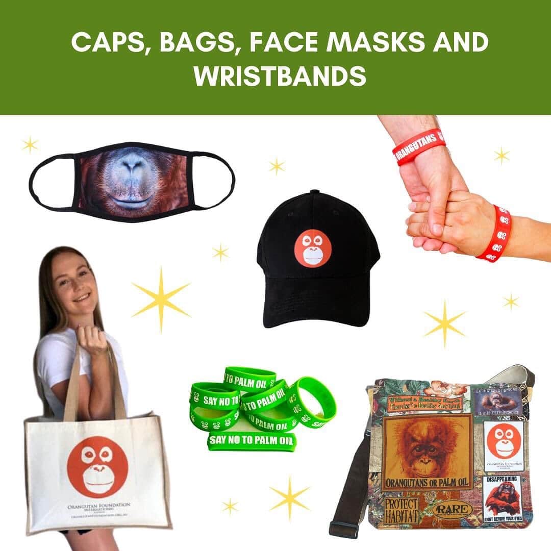 OFI Australiaさんのインスタグラム写真 - (OFI AustraliaInstagram)「OFI Australia's Christmas gift shop is open! Give a gift that makes a difference. We have fantastic orangutan plush toys, t-shirts, caps, bags, calendars, drinkware, palm oil free soaps, orangutan apparel and more! Visit our online shop now to order. Our website link is in our bio.   Important shipping / delivery information ... to ensure the delivery of merchandise items and postal foster kits in time for Christmas, please place your orders no later than Saturday 12th December for orders within Australia - or use the Express Post option. If you live in WA or a more remote regional area, we suggest you use the Express Post delivery option. #orangutanmerchandise #christmasgift ______________________________ 🦧 OFIA Founder: Kobe Steele kobe@ofiaustralia.com  OFIA Patron: Dr Birute Galdikas @drbirute @orangutanfoundationintl @orangutan.canada www.orangutanfoundation.org.au 🦧 🧡 🦧」12月10日 17時31分 - ofi_australia