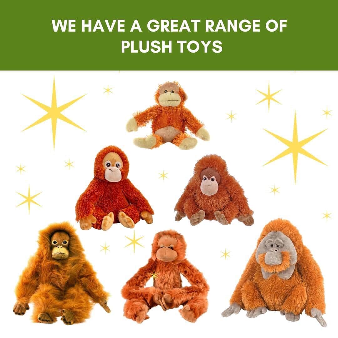 OFI Australiaさんのインスタグラム写真 - (OFI AustraliaInstagram)「OFI Australia's Christmas gift shop is open! Give a gift that makes a difference. We have fantastic orangutan plush toys, t-shirts, caps, bags, calendars, drinkware, palm oil free soaps, orangutan apparel and more! Visit our online shop now to order. Our website link is in our bio.   Important shipping / delivery information ... to ensure the delivery of merchandise items and postal foster kits in time for Christmas, please place your orders no later than Saturday 12th December for orders within Australia - or use the Express Post option. If you live in WA or a more remote regional area, we suggest you use the Express Post delivery option. #orangutanmerchandise #christmasgift ______________________________ 🦧 OFIA Founder: Kobe Steele kobe@ofiaustralia.com  OFIA Patron: Dr Birute Galdikas @drbirute @orangutanfoundationintl @orangutan.canada www.orangutanfoundation.org.au 🦧 🧡 🦧」12月10日 17時31分 - ofi_australia