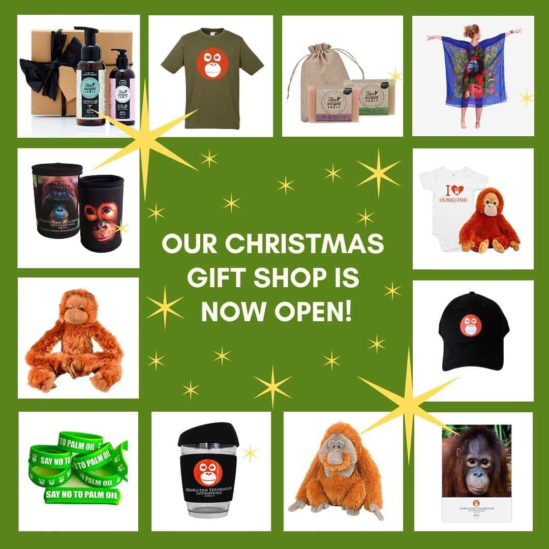 OFI Australiaさんのインスタグラム写真 - (OFI AustraliaInstagram)「OFI Australia's Christmas gift shop is open! Give a gift that makes a difference. We have fantastic orangutan plush toys, t-shirts, caps, bags, calendars, drinkware, palm oil free soaps, orangutan apparel and more! Visit our online shop now to order. Our website link is in our bio.   Important shipping / delivery information ... to ensure the delivery of merchandise items and postal foster kits in time for Christmas, please place your orders no later than Saturday 12th December for orders within Australia - or use the Express Post option. If you live in WA or a more remote regional area, we suggest you use the Express Post delivery option. #orangutanmerchandise #christmasgift ______________________________ 🦧 OFIA Founder: Kobe Steele kobe@ofiaustralia.com  OFIA Patron: Dr Birute Galdikas @drbirute @orangutanfoundationintl @orangutan.canada www.orangutanfoundation.org.au 🦧 🧡 🦧」12月10日 17時31分 - ofi_australia