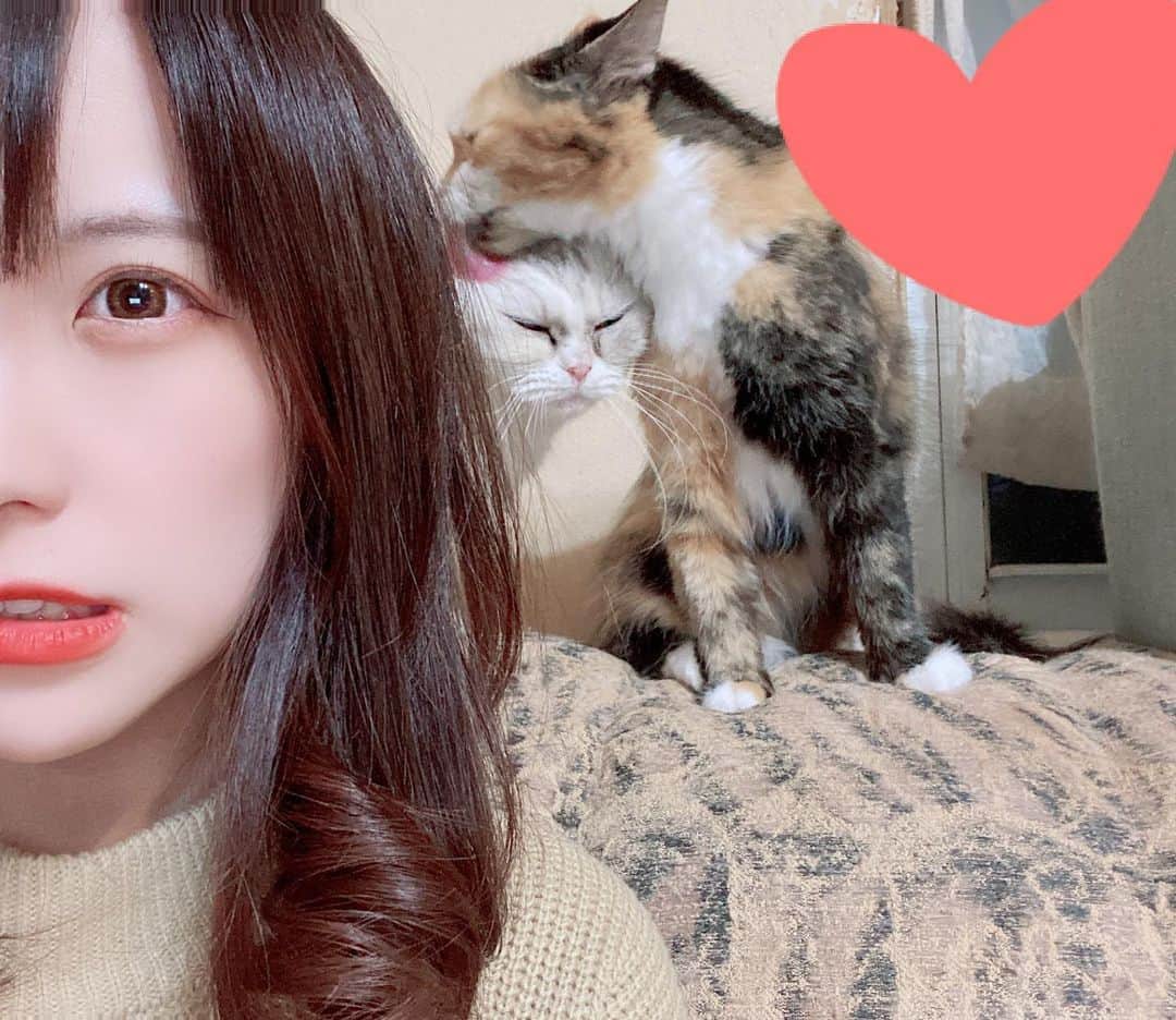 みやびのインスタグラム：「今週は木金土出勤させていただきます🌸🐰 お待ちしております🌸🐰  #バニーガール #ガールズバー #玉宮#岐阜」