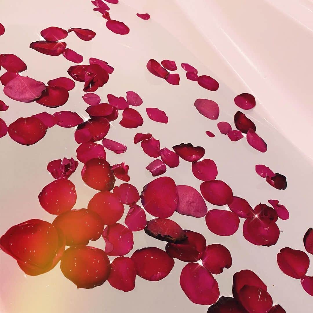 のインスタグラム：「薔薇風呂🌹✨ コンサートで頂いた薔薇は傷んできたら最後にお風呂で楽しんでます🥰 可愛くて眺めるだけで幸せな気持ちに✨ . #薔薇風呂 #薔薇 #薔薇のある暮らし #rose #お風呂 #コンサート #お花 #お花のある暮らし」