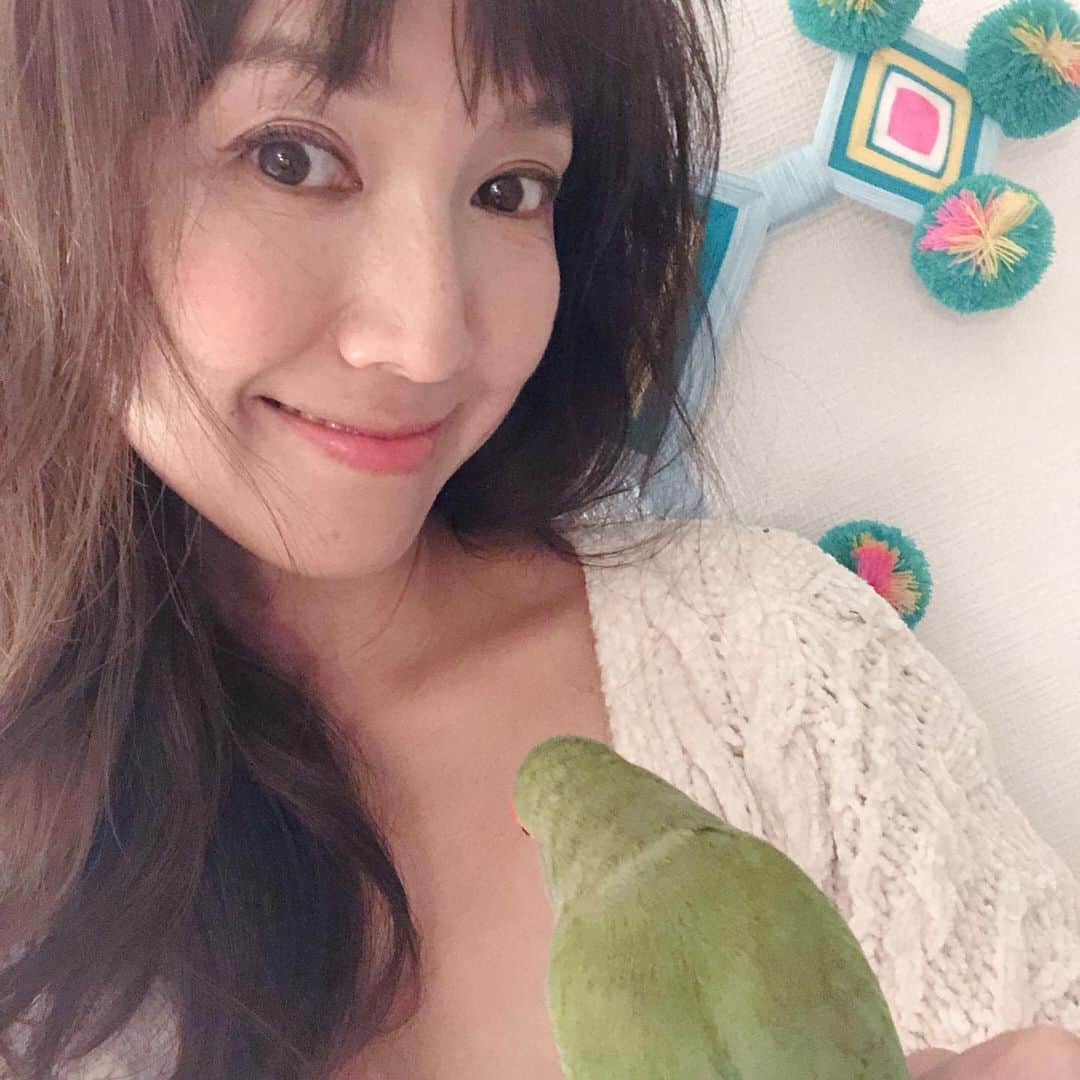 のインスタグラム：「♡ ♡ ♡  淡い色の　#sunset   今日もお疲れ様でした♡  #おうち時間  わたしの癒し♡  ひさしぶりに　#エステ  してもらいました✨  ワントーン明るくなって  ウキっ✨☺︎  さて　今日は何を作ろうかな？  好きな音楽を聴いて♪  #クッキング   好きな時間♡  #tiki 🦜の後ろ姿　 オジサンみたいw  #beautifull #day #エステティシャン #shonan #salon#zushi #hayama #chill #time#おうちごはんlover #diner #cooking #まったり時間 #まどろみ #goodnight #nomusicnolife ♫#lovebird」