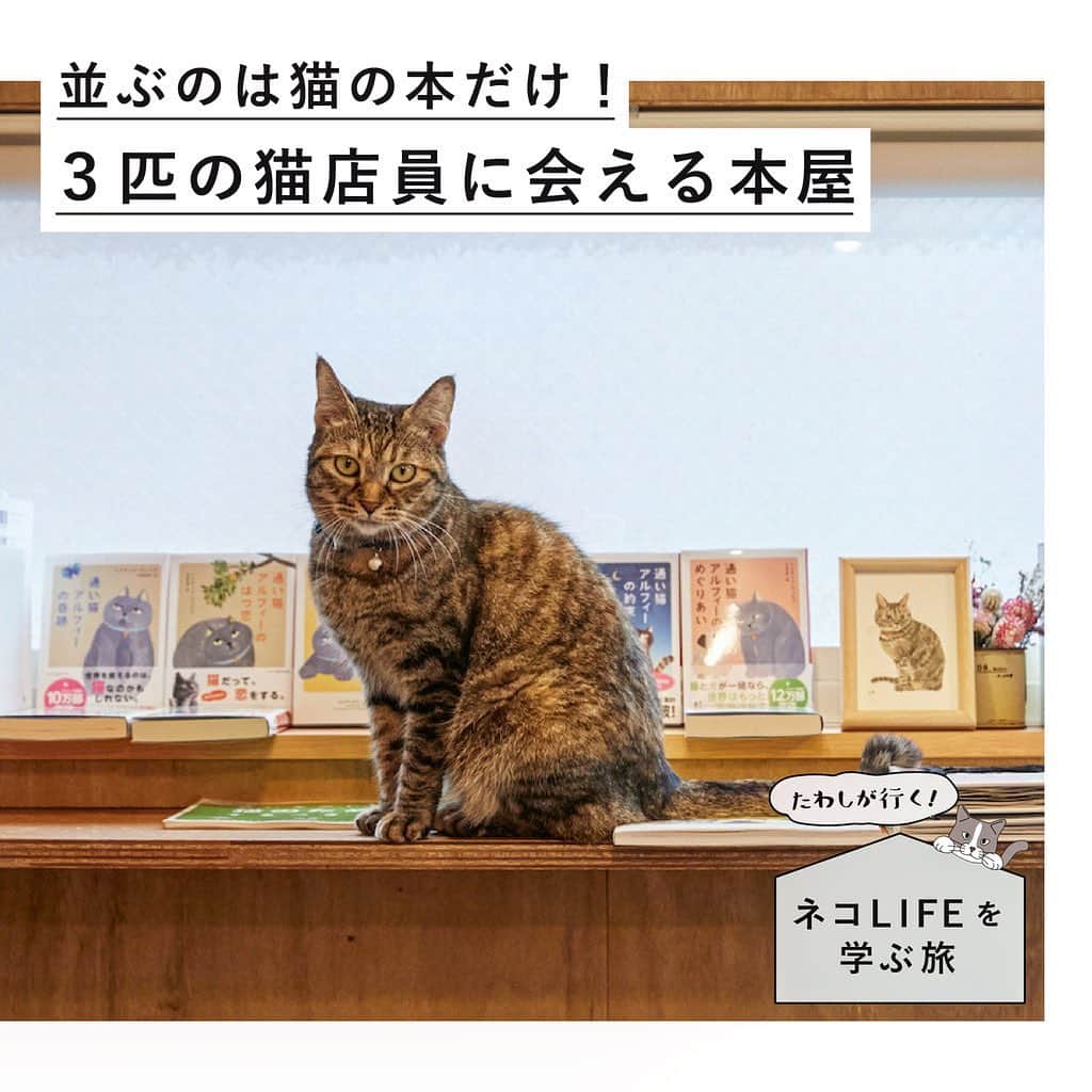 RE住むRENOVATIONのグルメインスタ