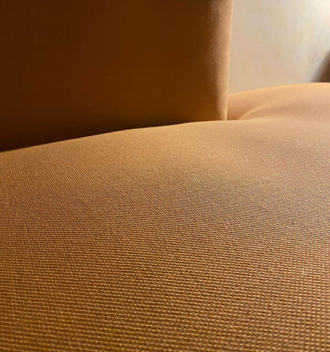 ラブリのインスタグラム：「New ordermade sofa 💛 @haydesign  綺麗な色、明るい日に見たい」