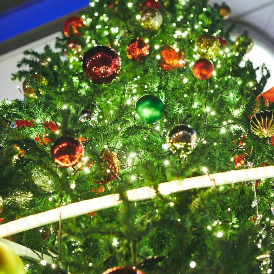 PARCOさんのインスタグラム写真 - (PARCOInstagram)「街もすっかりクリスマスムード 全国のPARCOでも続々とクリスマスツリーが設置され、 「For Someone, Somewhere.」をテーマに今年のクリスマスを彩ります。  お近くのPARCOに足を運んで、 クリスマス気分を高めてみては….  クリスマス2020　特設WEBサイト https://parco.jp/christmas/  #PARCO #パルコ #浦和PARCO #浦和パルコ #Christmas #クリスマス #Christmastree #クリスマスツリー #MerryChristmas #メリークリスマス #ForSomeoneSomewhere #田部井美奈」12月10日 19時09分 - parco_official