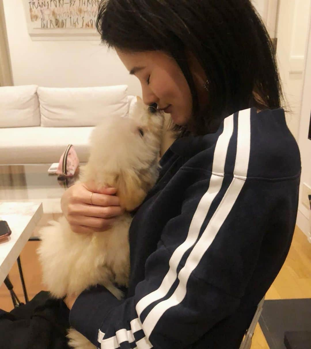 一双麻希 さんのインスタグラム写真 - (一双麻希 Instagram)「こないだ、この子🐶のおうちに久々に会いに❤️🐩 毎回べったりしてくれてしあわせ。ありがとう☺️ 3枚目は、人間がご飯食べてる机の下の足元で必死な姿🥺♡ ・ #ぎゅ #💋 #机の下で必死にアピール🐩 #人んちの子を我が子のように😂 #まんまるおめめ #癒し #わんちゃん #トイプードル #トイプー #dog #toypoodle #dancing #smile」12月10日 19時10分 - isso_maki315