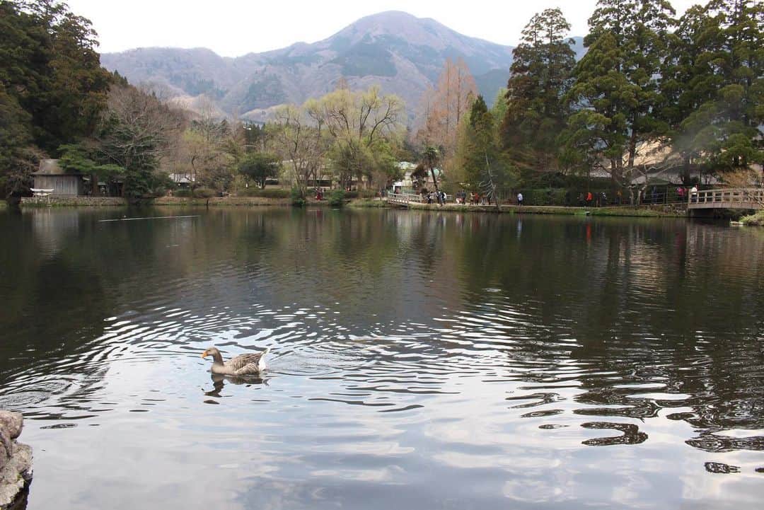 原田佳代子（ミス國學院No.3）のグルメインスタ