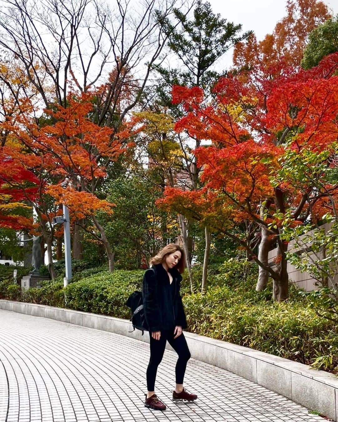 川戸沙羅のインスタグラム：「ジムの前の道が紅葉に🍁  桜が見れたりイルミネーションが見れたり赤坂って意外と四季を感じられる🌸🌞🍂🎄  #赤坂ジム #赤坂パーソナルトレーニング  #女性パーソナルトレーナー」