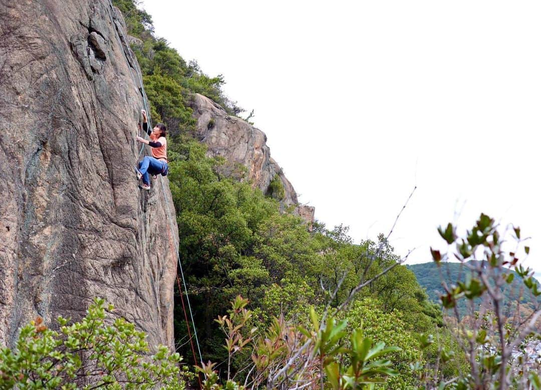 尾上彩さんのインスタグラム写真 - (尾上彩Instagram)「🌳🌳🌳 ・ 来年の瀬戸内でやりたい課題も見つけたし、少しずつ登る時間を増やしていくぞーーっ💪🏻🔥 ・ @patagoniajp @patagonia_climb #climbing #bouldering #climblikeagirl #クライミング #ボルダリング」12月10日 19時41分 - aya_onoe