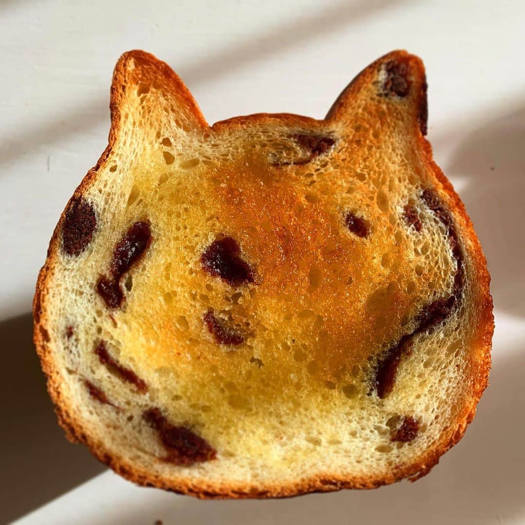 猫井椿のインスタグラム：「こしあんを練りこんだ猫食パン。あんことバター は鉄板の取り合わせ。  cat-shaped bread  #京都ねこねこ食パン」