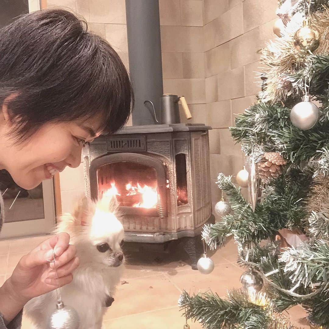 倉田亜味のインスタグラム：「クリスマスツリーを飾りまして…！圧倒的Christmas感！  #YouTube #youtubechannel  #クリスマスツリー」