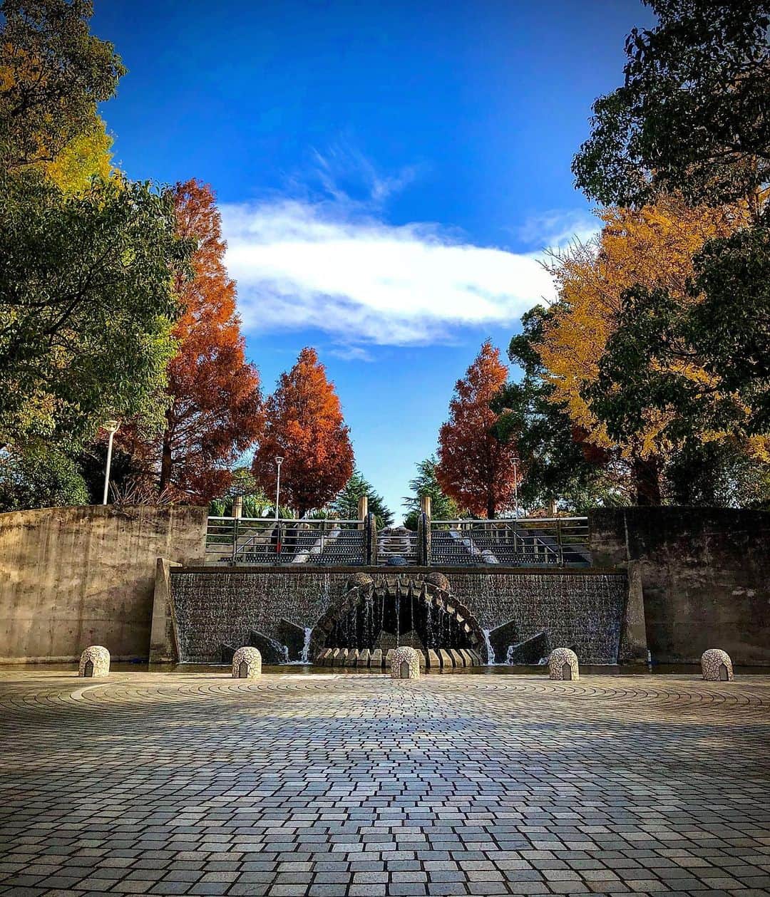 羽原信義さんのインスタグラム写真 - (羽原信義Instagram)「山下公園には、まだ秋が残っていました。」12月10日 20時01分 - nobuyoshi_habara