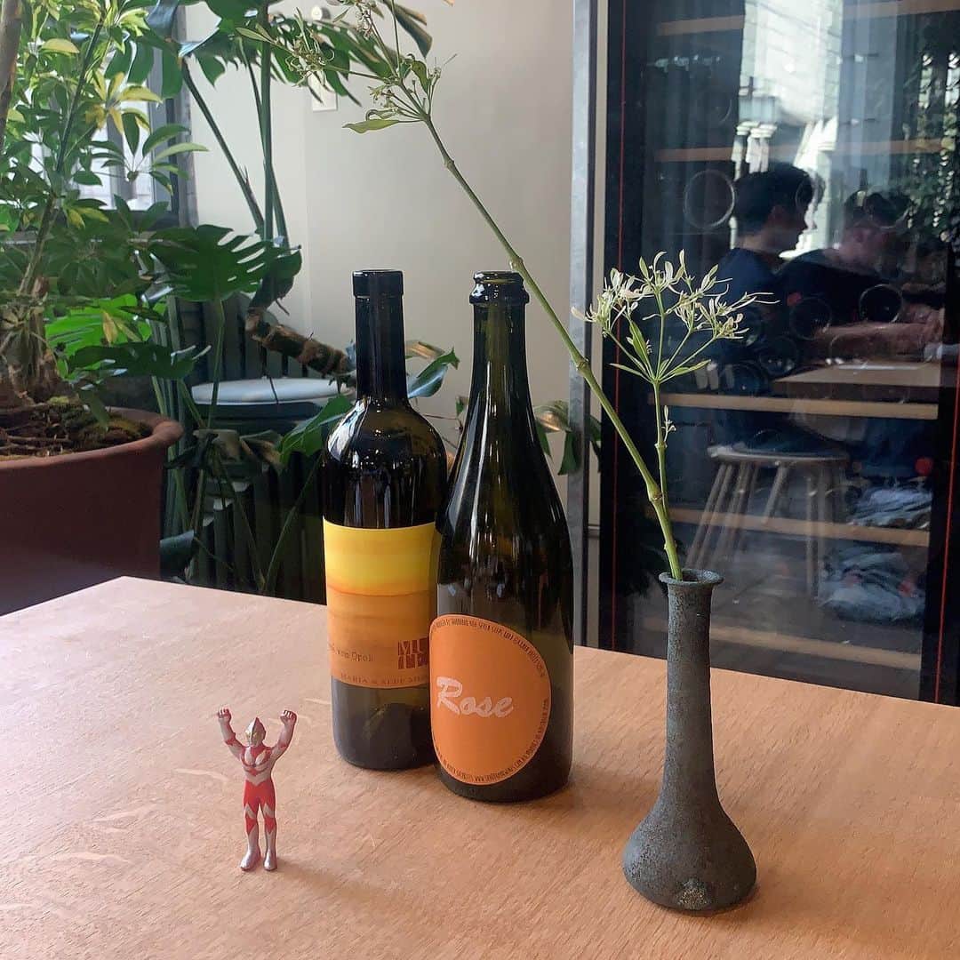 柴田ひかりのグルメインスタ