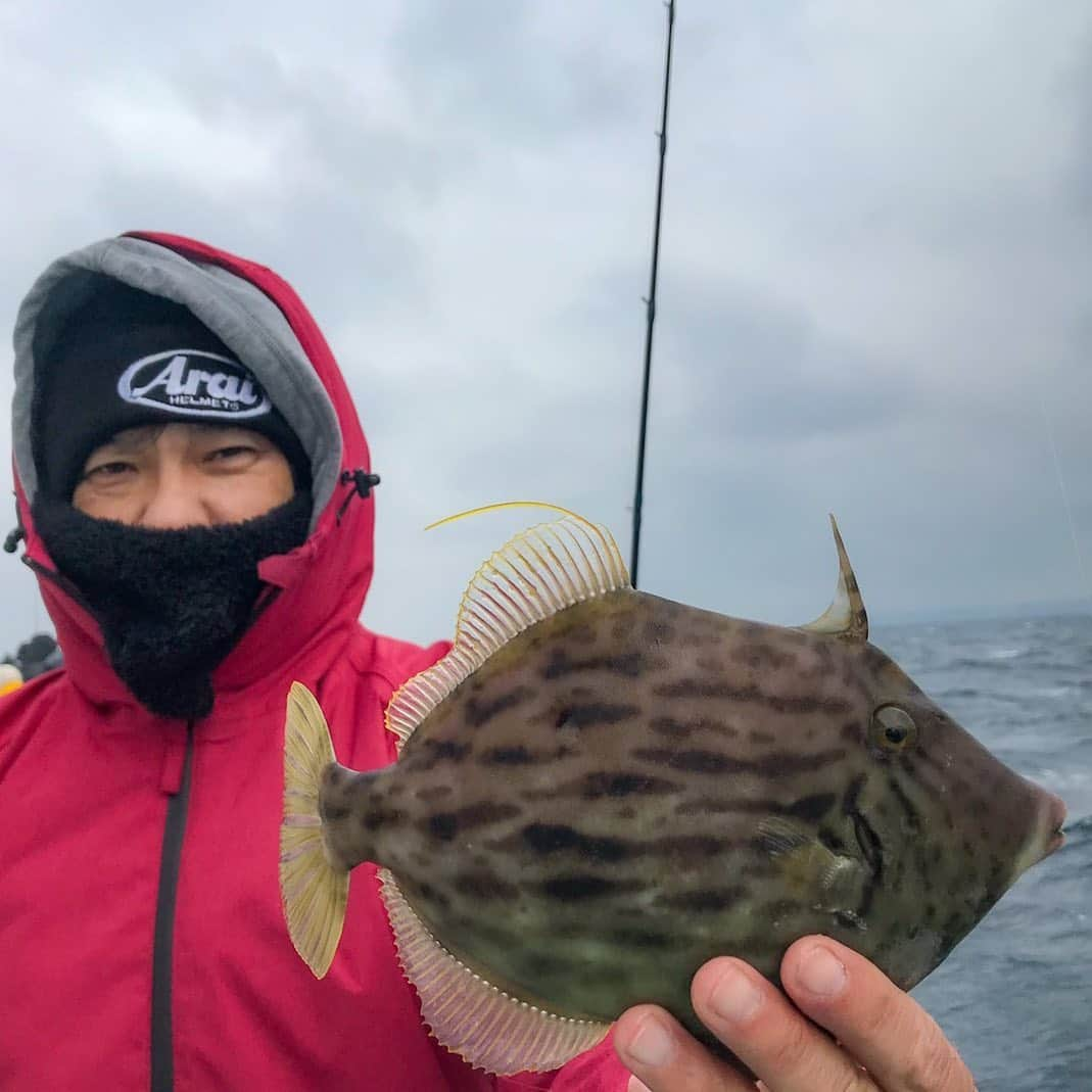 原田哲也のインスタグラム：「今日は光進丸でカワハギ釣り！ 雨、風、寒さ中々厳しいコンディションでも面白釣り仲間と船長のお陰で楽しい釣りが出来ました。 ユウジ船長！町田船長！ ありがとうございました。 #光進丸#釣り情報 ＃釣り#araihelmet」