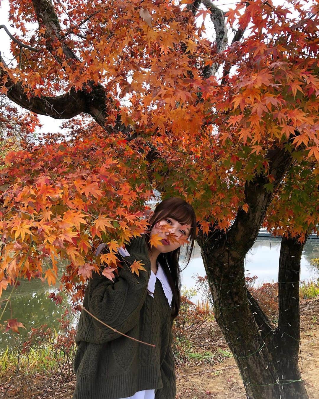 矢倉楓子さんのインスタグラム写真 - (矢倉楓子Instagram)「落ちてた紅葉でアレンジ🍁😂  紅葉もまだ少し残ってて綺麗でした☝️💕  #足利フラワーパーク #紅葉 #インスタ映え #ハーフアップ #簡単ヘアアレンジ #ニットコーデ」12月10日 20時27分 - fufu_ice