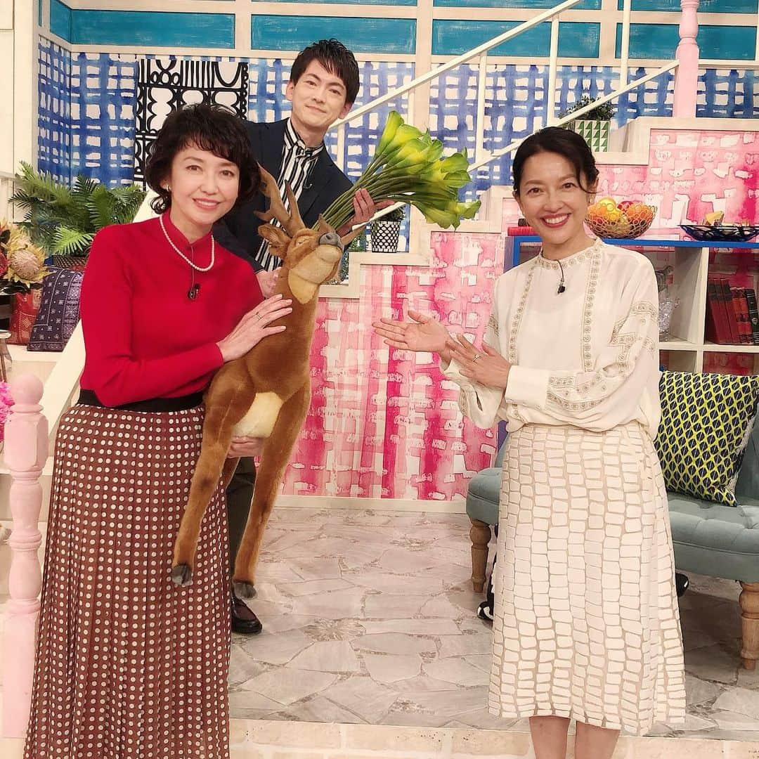 羽田美智子のインスタグラム