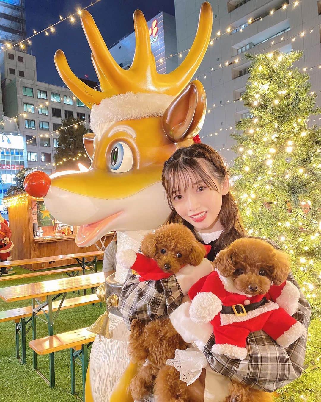 涼本理央那のインスタグラム：「﻿ クリスマスマーケット﻿ めっちゃ可愛い🥺🥺❤️﻿ ﻿ この日は、ステーキとウインナーとミネストローネとホットチョコレートとマシュマロとめっちゃ食べたの！！笑﻿ ﻿ もう何回か行けたらいいなぁ🎅🏻﻿ #福岡 #福岡クリスマスマーケット #クリスマスマーケット #天神 #クリスマス #サンタさん #犬 #chiristmas #swankiss」