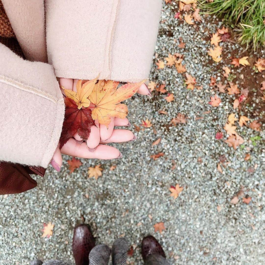 村崎英絵のインスタグラム：「ちょうど今がお昼は紅葉、夜はイルミネーションで綺麗な景色が2つ楽しめるから嬉しい♡ 明日はティノと久しぶりのお出かけ！ いつもと違う景色見に行こーね♡ ㅤㅤㅤㅤㅤ ㅤㅤㅤㅤㅤ ㅤㅤㅤㅤㅤ #紅葉 #紅葉🍁 #紅葉デート #紅葉狩り #秋 #景色 #冬 #おさんぽ🐾 #お散歩」