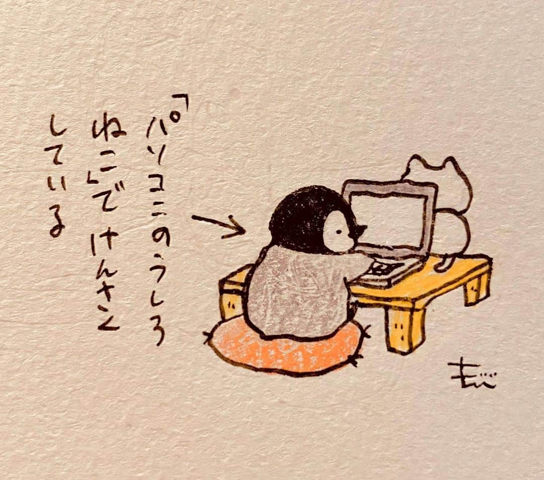 もじじのインスタグラム：「なぜそこにいくのか  #ねこぺん日和#ねこぺん#ねこくん#ぺんちゃん」