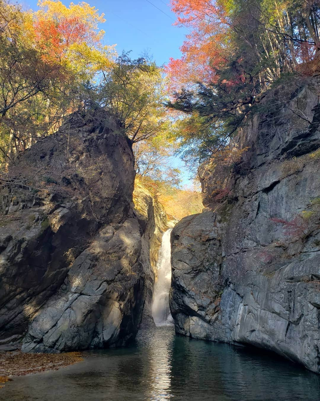 高良ひとみのインスタグラム