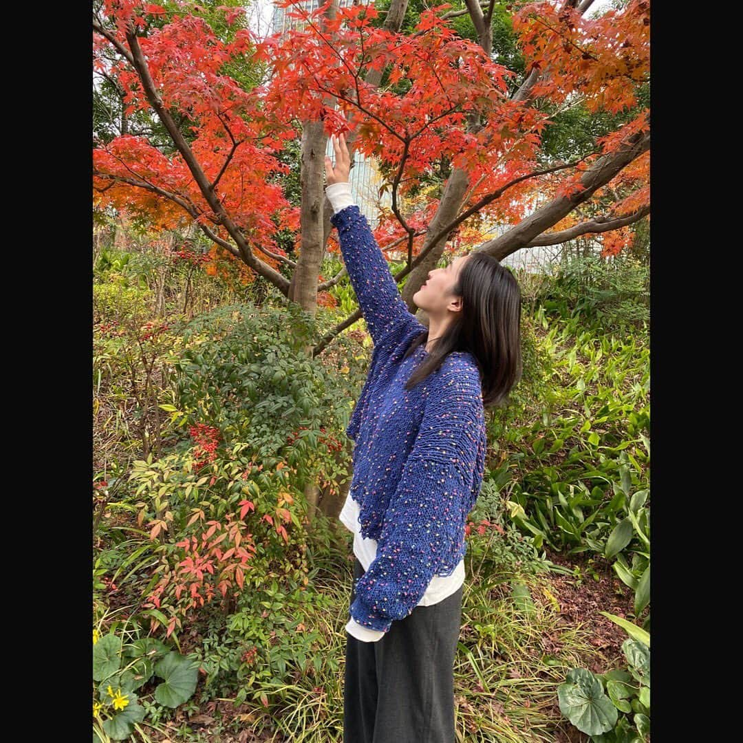 土井悠さんのインスタグラム写真 - (土井悠Instagram)「🍁  #ギリギリ #紅葉 #間に合った」12月10日 21時58分 - yu_doi