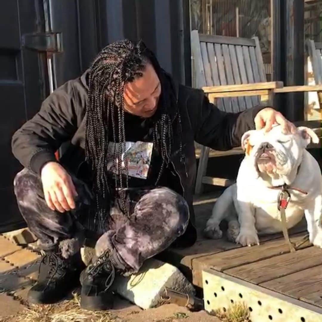 のインスタグラム：「髪のメンテをしてもらいに #enoshima_77 行ってきました  お店の看板犬のBOSSにも遊んでもらった  ここに通い、こうしている時間がホント好きで、来る度にリフレッシュされて帰れる  今年は、これが最後かな〜… いゃ、年末近くに、もう一回行くかな？ それとも、年明け新年に行こうかな？  行ったばかりなのに、もう次行く時のことを考えてしまうほど好きな場所でもあります！  #enoshima_77  #やべきょうすけ  日中、風がなく暖かくて穏やかな日だったけど… サーファーの方には、ちとシブい海だったようだ 俺はサーフィンは全く分からないが、海を見てると、どんな魚が居て、釣れるのかな〜？って考えてました！ww  スッカリ釣り好き！  ※釣りで大した成果はあげてないのに…ww」