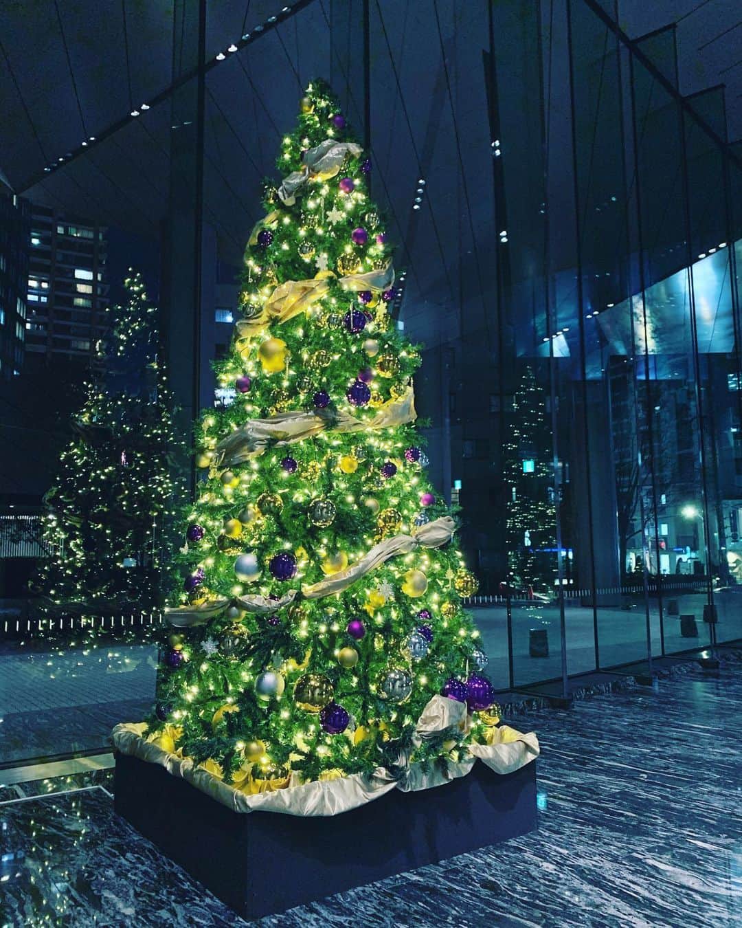 Mai Yamadaさんのインスタグラム写真 - (Mai YamadaInstagram)「クリスマスツリーって何歳になってもワクワクする🎄 . #クリスマスツリー #ツリー #クリスマス #12月 #加工したら絵みたいになった」12月10日 22時04分 - yamadamai_719