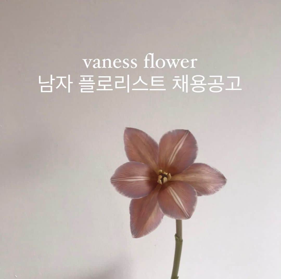 플로리스트 이주연 florist Lee Ju Yeonさんのインスタグラム写真 - (플로리스트 이주연 florist Lee Ju YeonInstagram)「. . 남자 플로리스트 채용 . 지원을 원하시는분은 DM으로 문의주시고 이력서와 포토폴리오는 vanessflower@naver.com 으로 보내주시면 됩니다  . #vanessflower #바네스플라워」12月10日 22時04分 - vanessflower