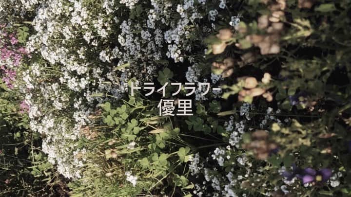 犬塚ヒカリのインスタグラム