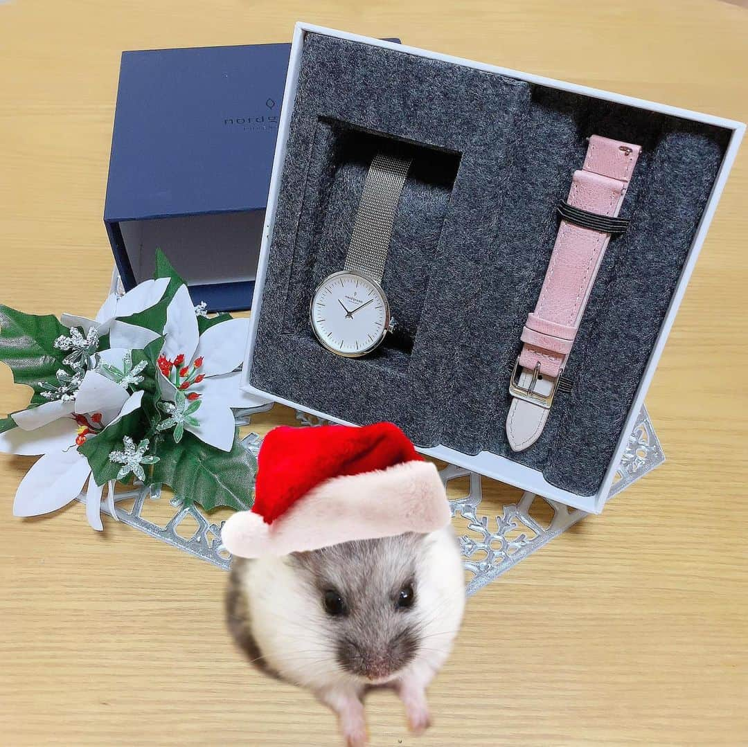 hamster_mocoのインスタグラム