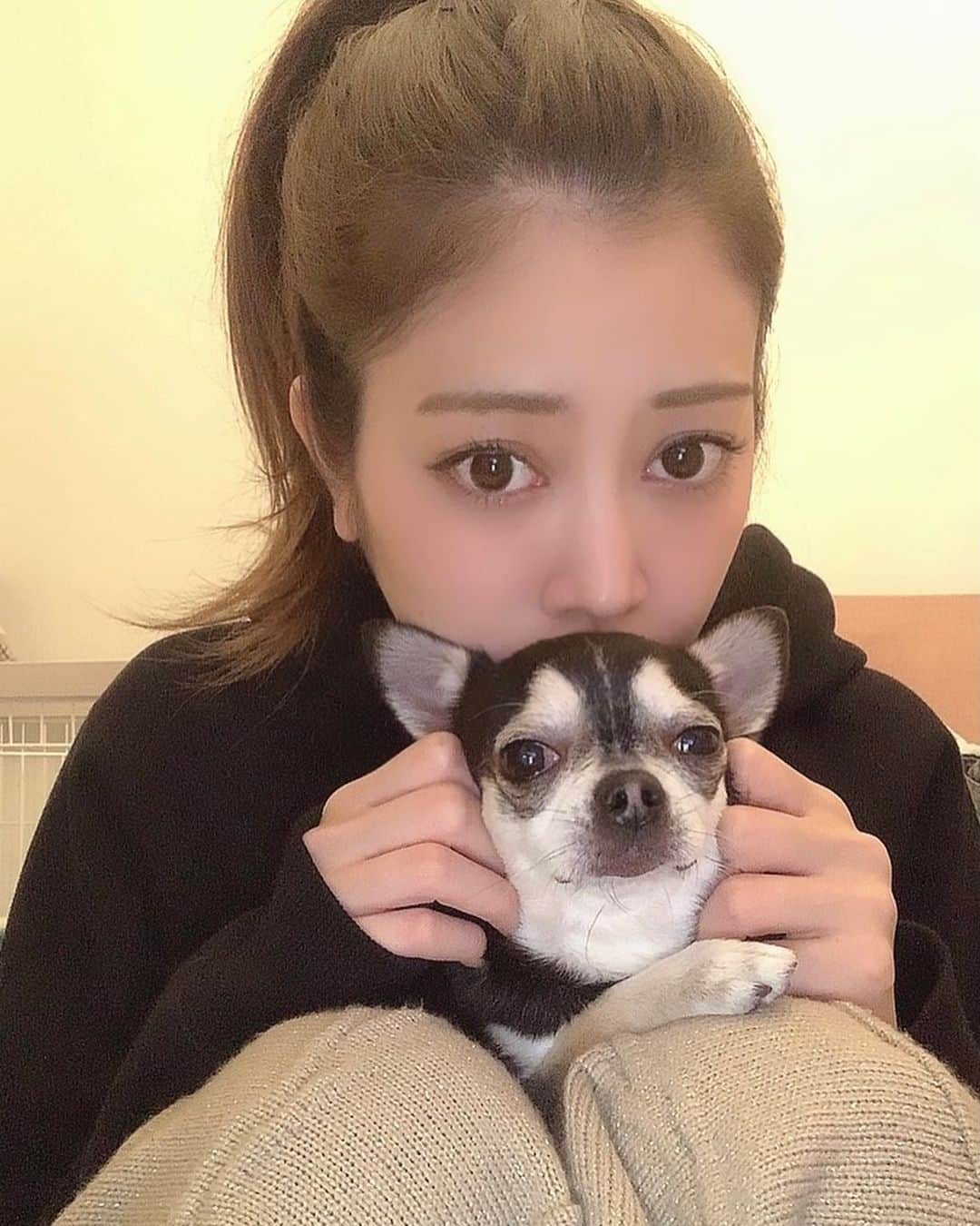 のインスタグラム：「．      つんでれさん🐶     ．」