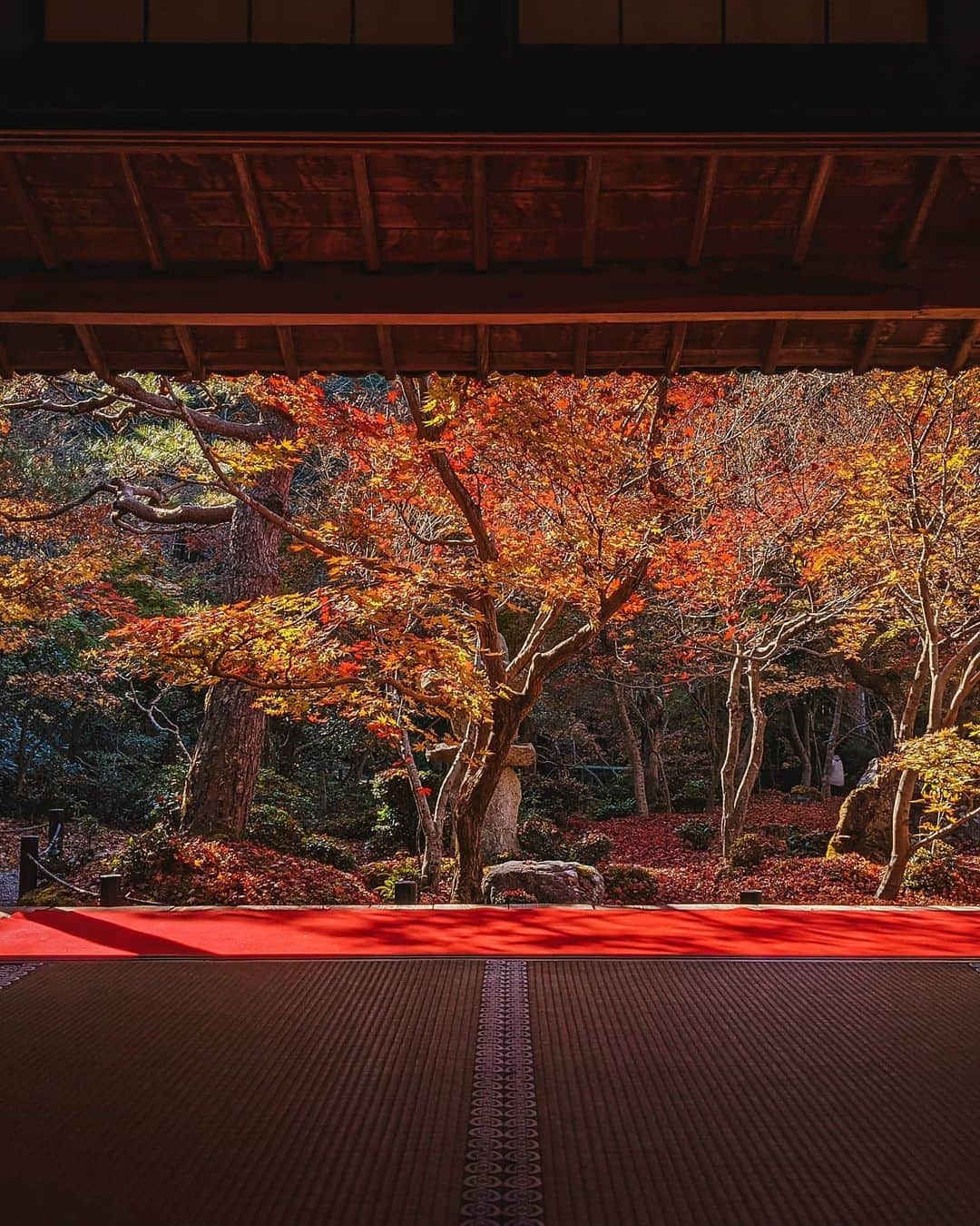 福田洋昭のインスタグラム：「The perfect zen space 🎑 #enkoji #kyoto #autumn #googlepixel #zenspace」
