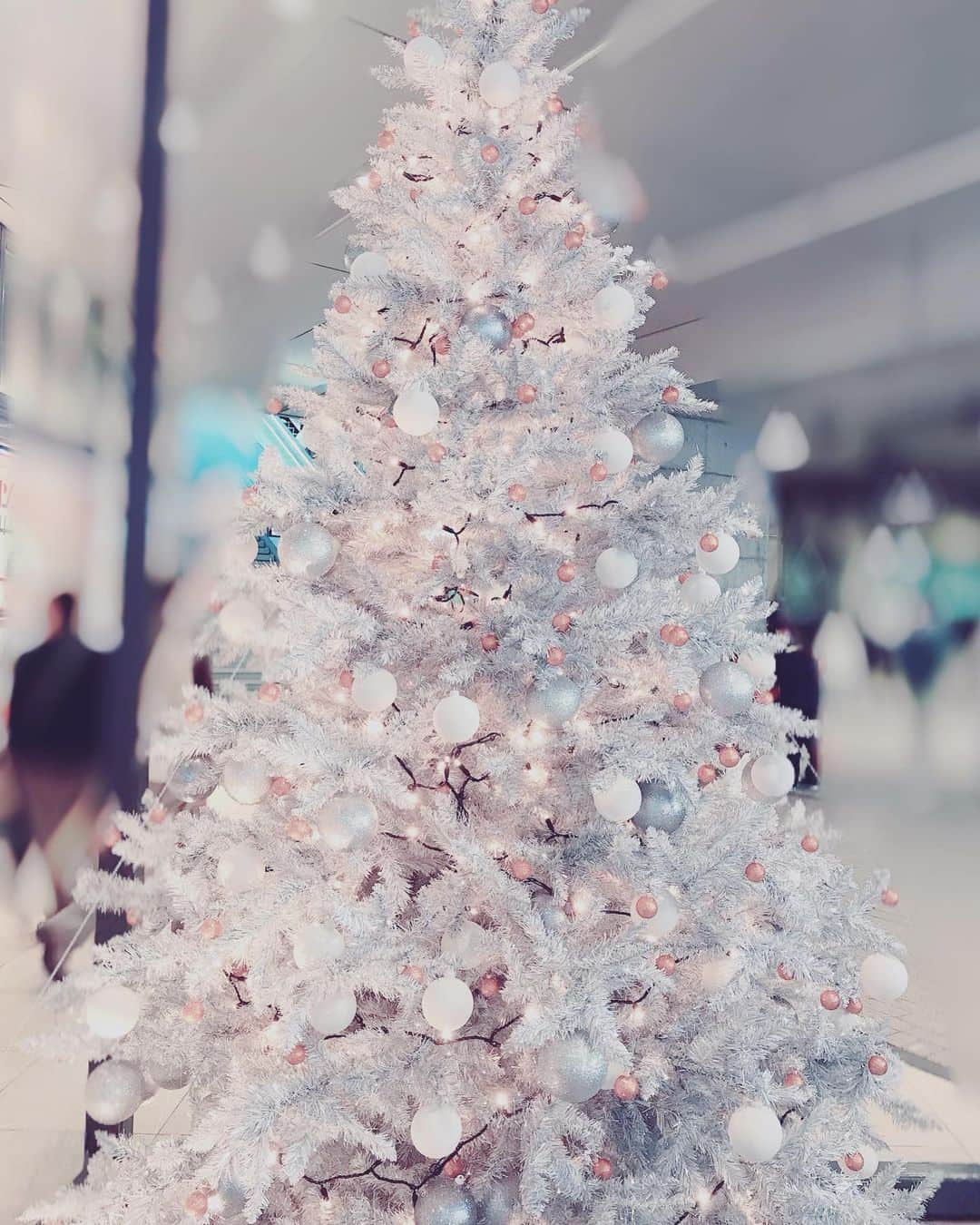 諏訪彩花のインスタグラム：「BGMは完全に#silent #この恋あたためますか ☃️💝 最終回も絶対泣いちゃう…。」