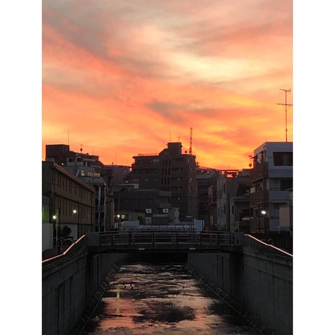 TRICHROMATIC COFFEEのグルメインスタ