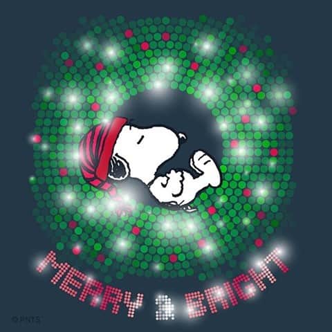 スヌーピーさんのインスタグラム写真 - (スヌーピーInstagram)「May your holidays be merry & bright.」12月10日 23時40分 - snoopygrams