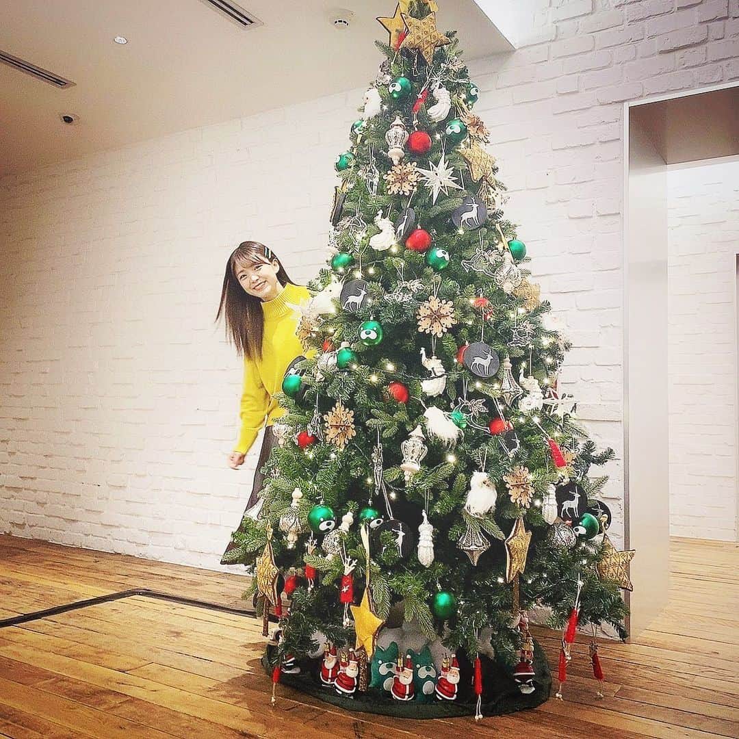 三森すずこのインスタグラム：「🎄✨❤️」