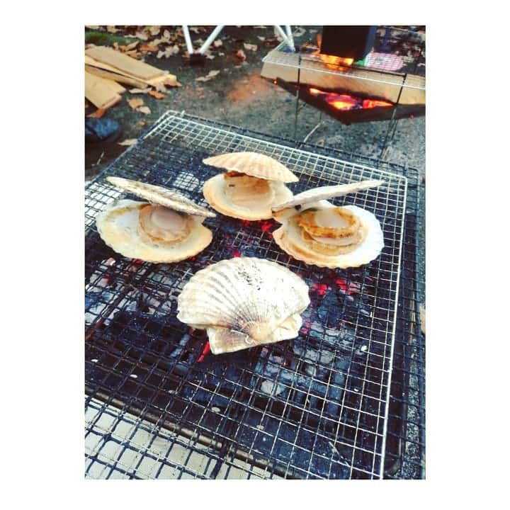 近藤笑菜のインスタグラム：「友達と会って時間を忘れるくらいゆるりとだべるの本当に至福のとき☕ 年の瀬に出会う人たちみんな素敵な人たちでほんと心がほくほく♡ 自分なりに精一杯やってゆこ🐬 . 📸 この間家族でキャンプ行ったときの美味しかったホタテ焼き🐚 これが今年のキャンプ納めだなあ 冬キャンプって激さむだけど、さむ～～って言いながら焚火にあたるのが最高。だいすき！ #キャンプ #キャンプ飯 #冬」
